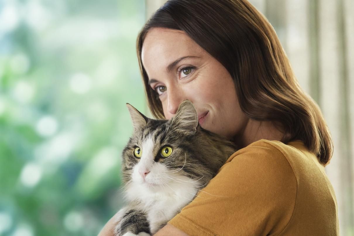 Алергічна реакція на котів: новий підхід Purina Pro Plan LiveClear