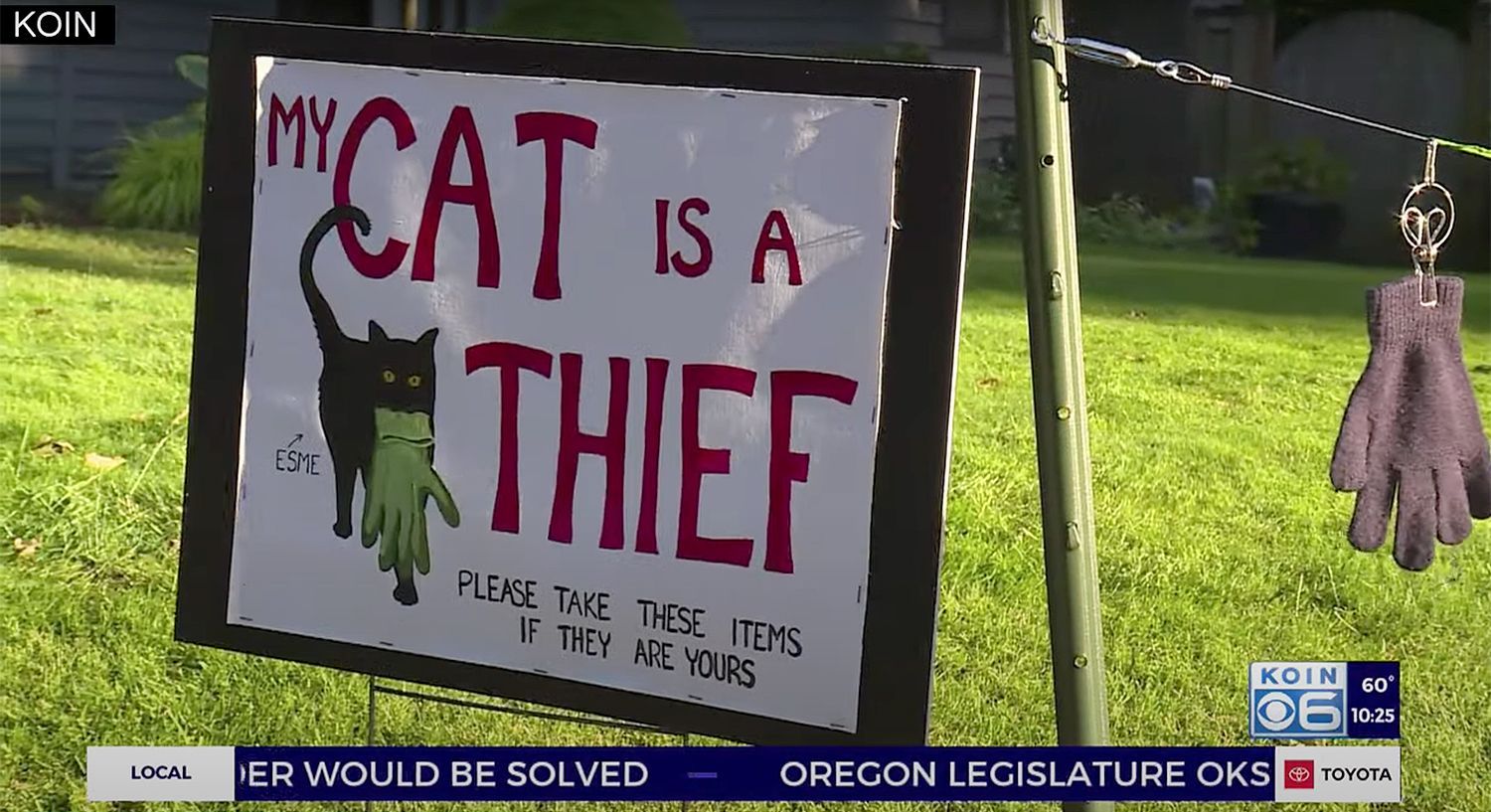 Моя кішка – злодійка: жінка в США роздає награбоване твариною Моя кішка – злодійка: жінка в США роздає награбоване твариною