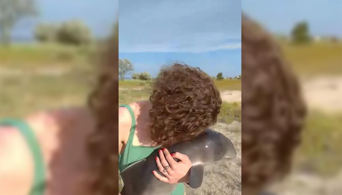 Отнесли на руках: видео спасения дельфинята Азовки