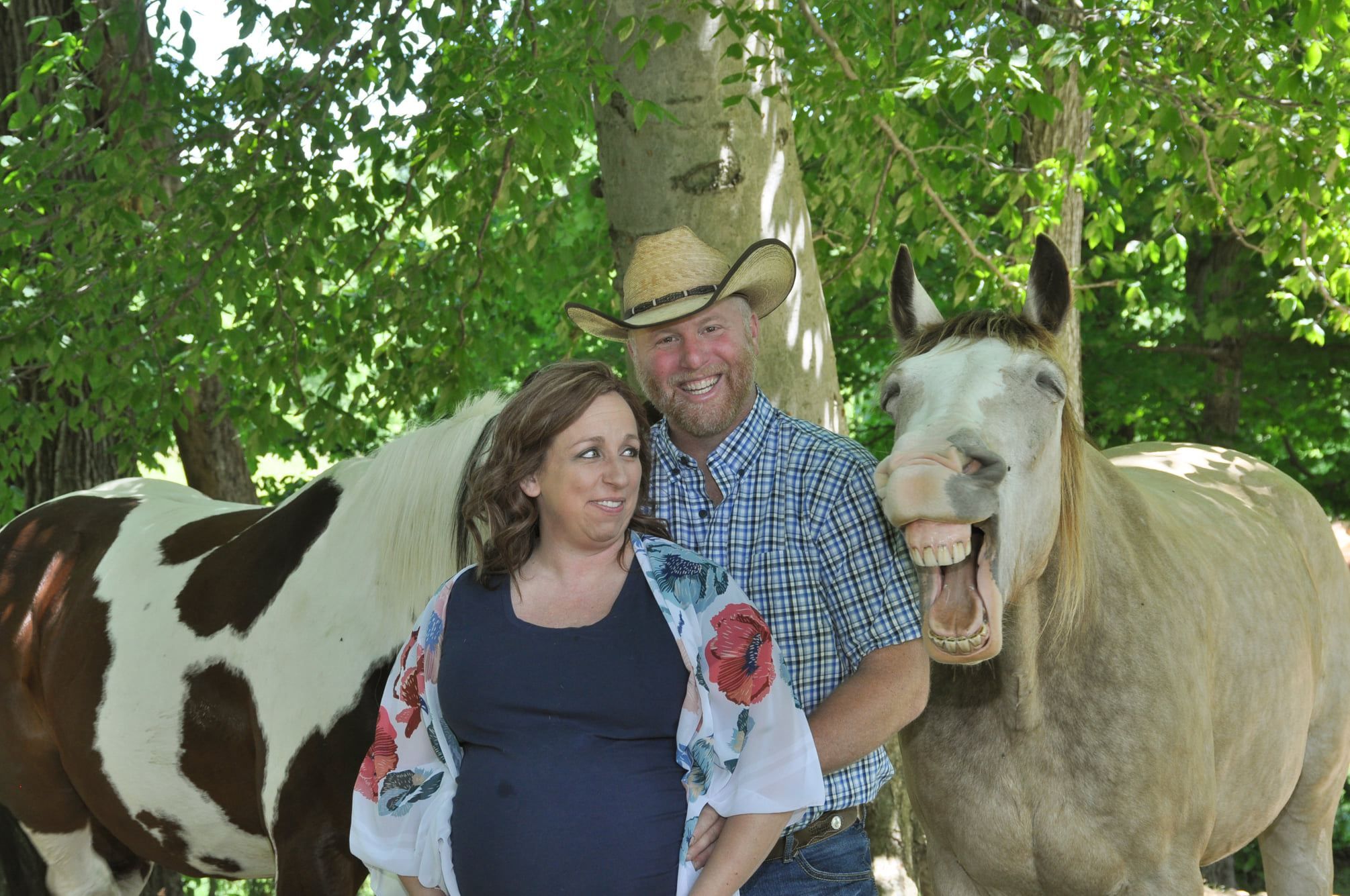 Конь принял участие в беременной фотосессии: фото дня