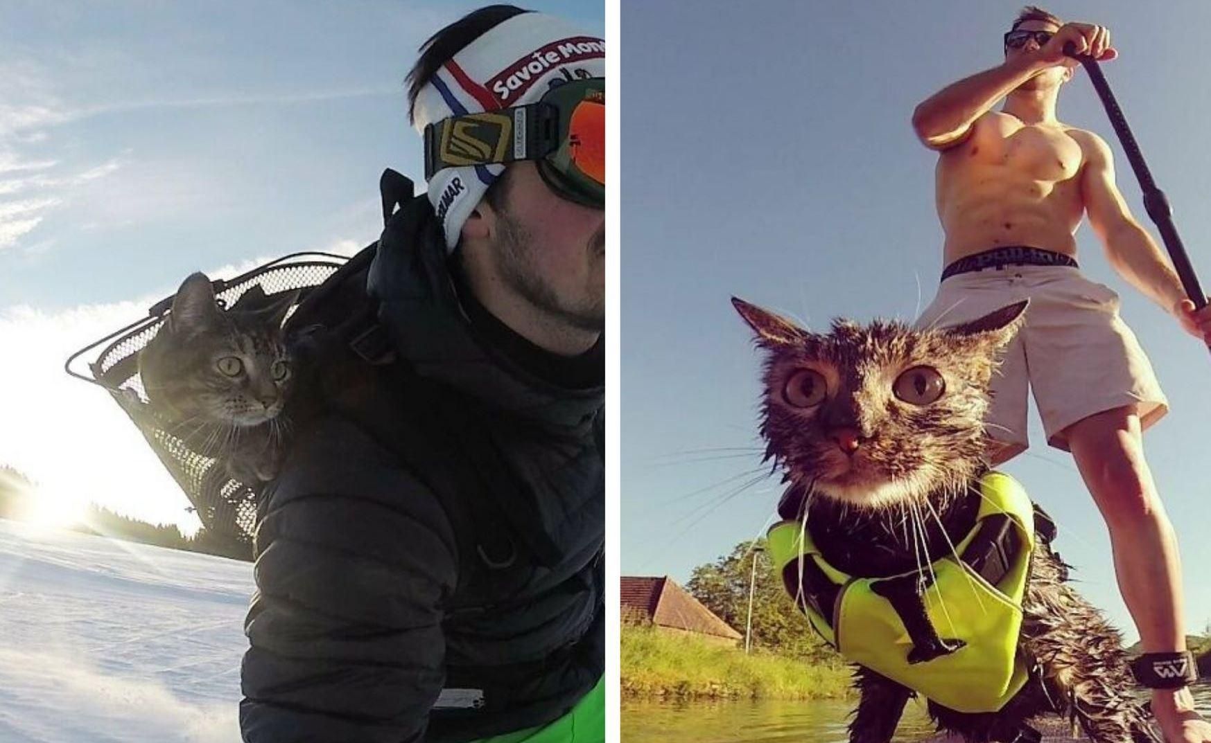 Лижі, гори, парашути: історія кішки, яка живе на повну – фото
