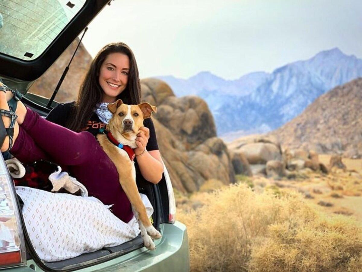 Собака переслідував жінку, поки та його не всиновила: фото Собака переслідував жінку, поки та його не всиновила: фото