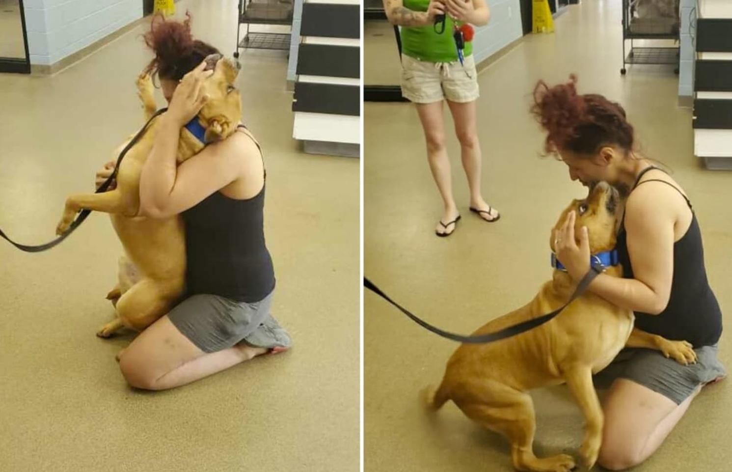 Женщина пошла в приют за новой собакой, а нашла там своего пса