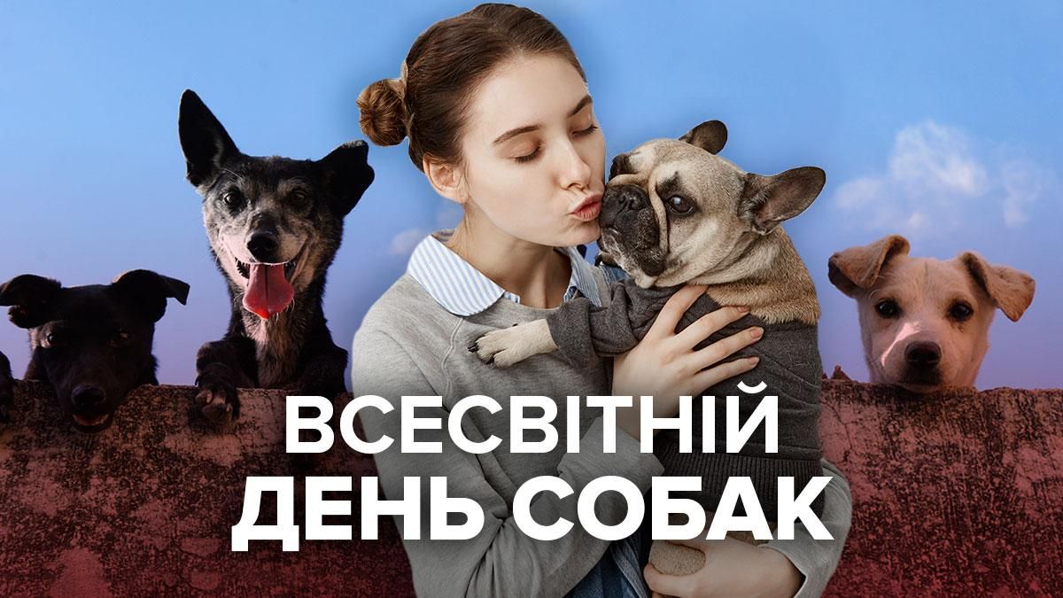 Всесвітній День собак відзначають 2 липня Всесвітній День собак відзначають 2 липня
