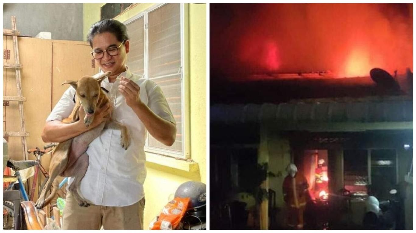 Маленький охоронець: як собаці вдалося врятувати сім'ю під час пожежі