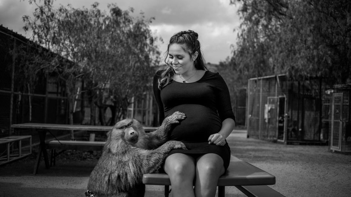Кенгуру, мавпа та інші звірі: вагітна жінка провела неймовірну фотосесію у своєму заповіднику