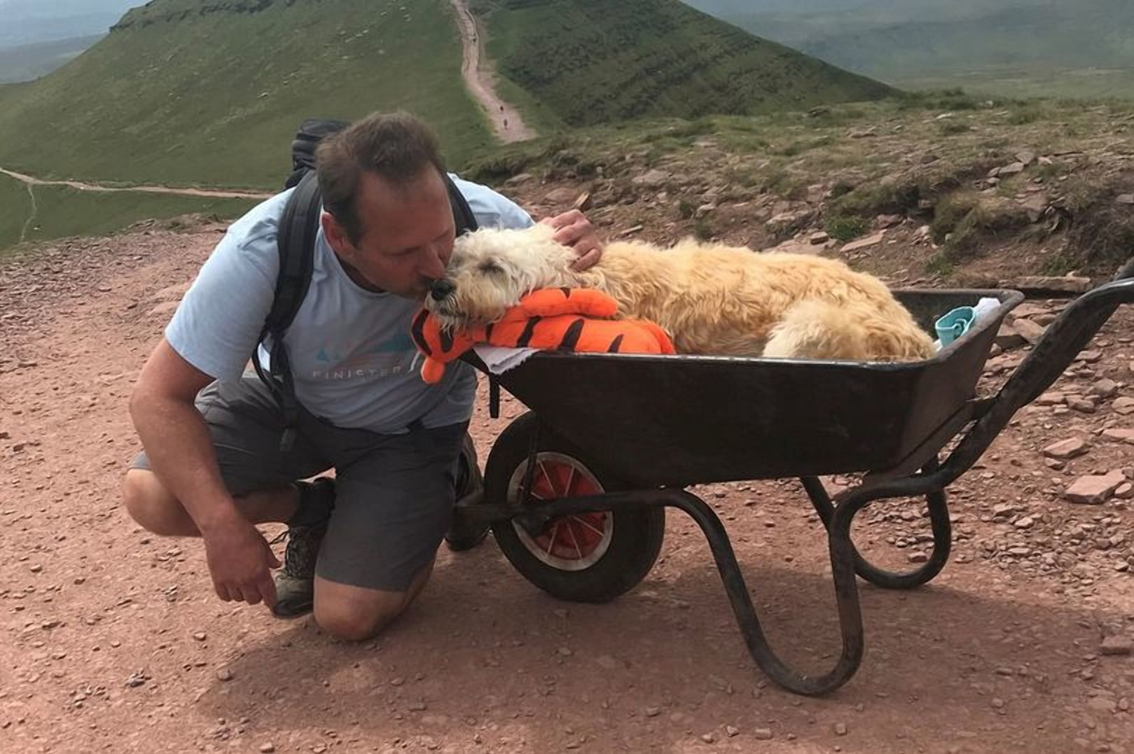Остання пригода: зворушлива історія дружби людини та собаки Остання пригода: зворушлива історія дружби людини та собаки