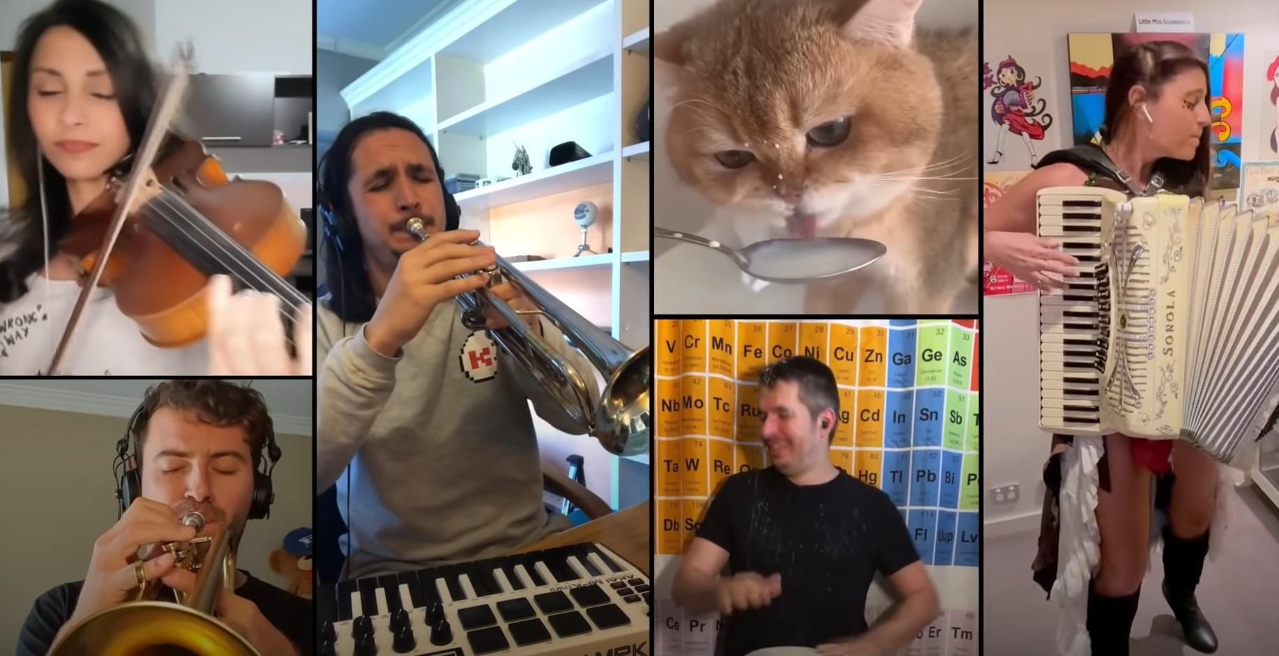 Музыкант ремиксует смешное "ням-ням" кота, который пьет молоко