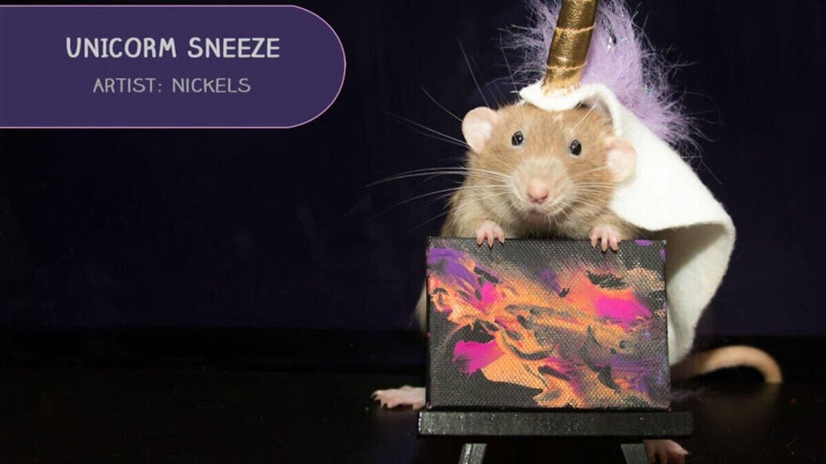 Картины домашних крыс продают с аукциона: фото