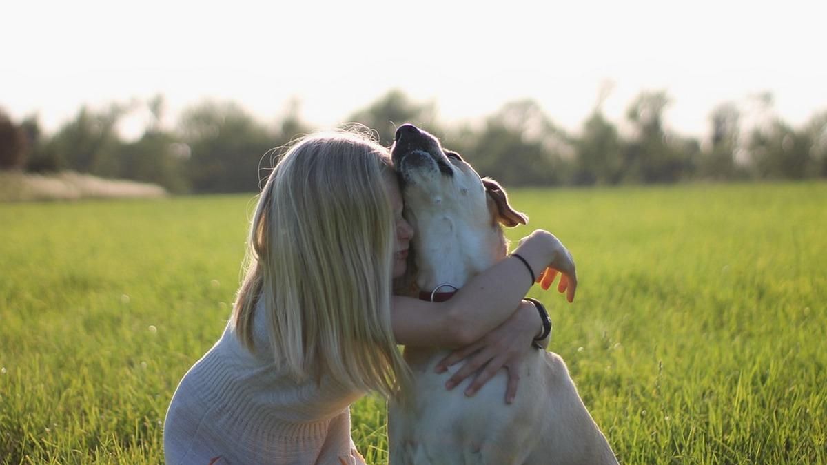В Чернигове действует канистерапия для детей: что следует знать В Чернигове действует канистерапия для детей: что следует знать