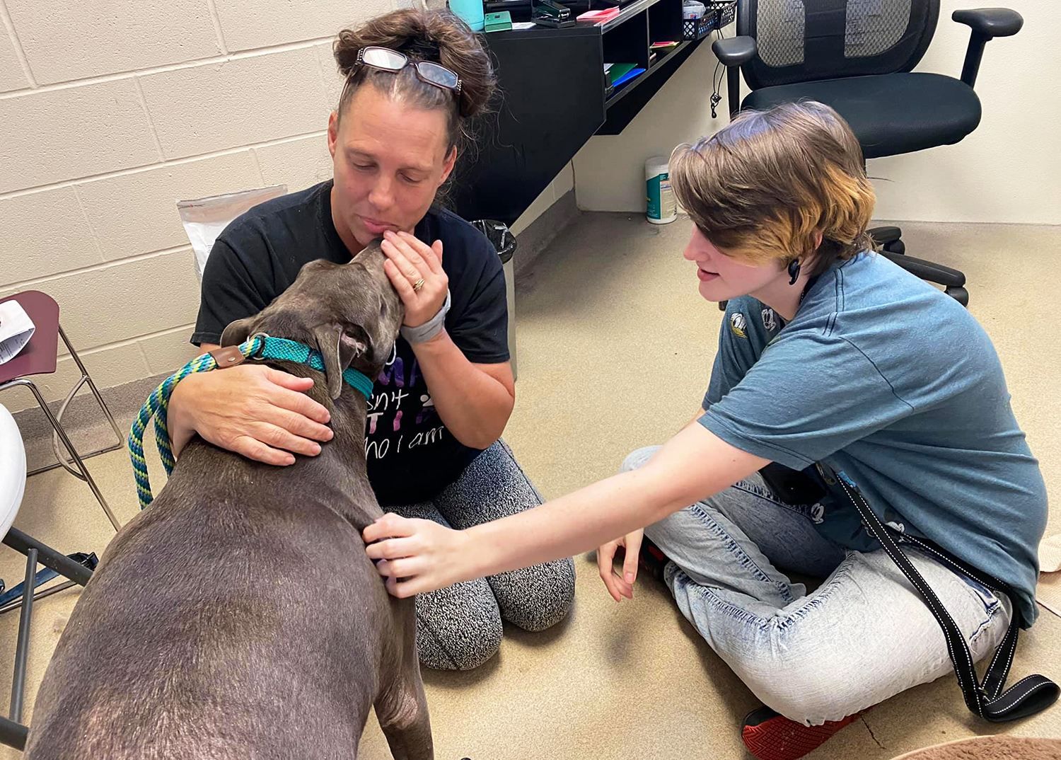 Спасали чужих собак, а нашли свою: история пса из Индианы Спасали чужих собак, а нашли свою: история пса из Индианы