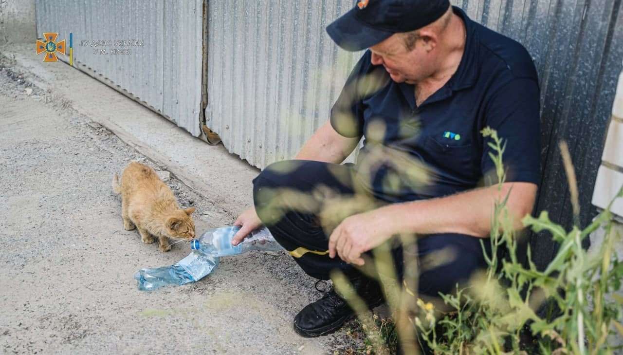Рятувальник напоїв бездомного кота водою: фото дня