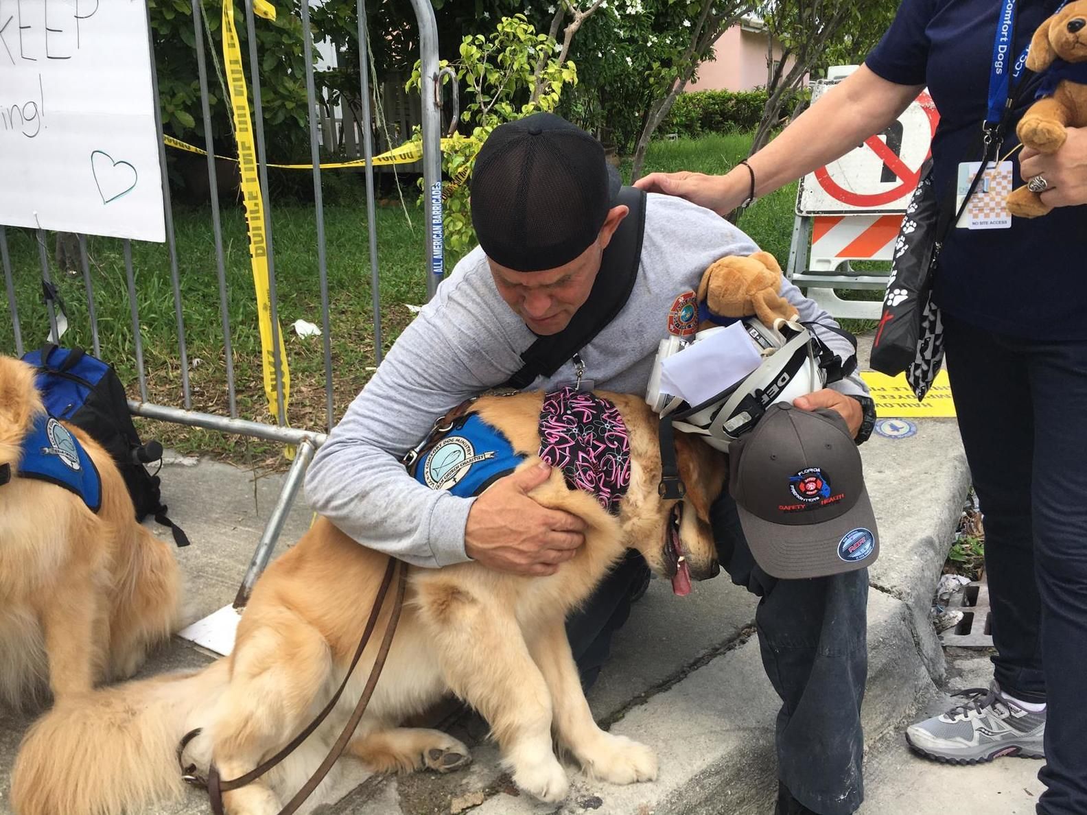 Собаки-волонтеры утешали людей в Майами