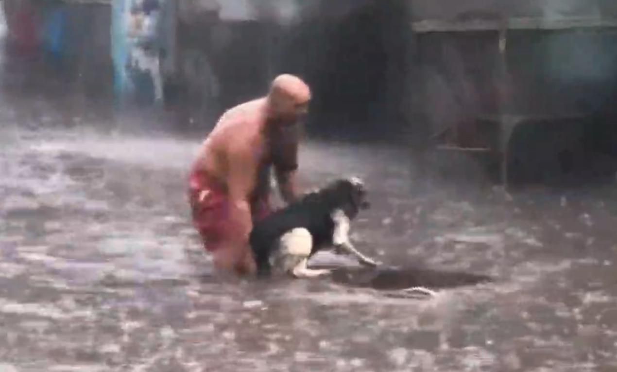Подробности спасения собаки в Киеве, взорвавшего сеть: видео