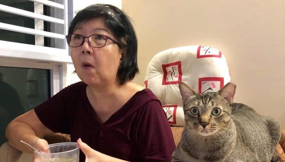 Як люди: фото домашніх улюбленців, які стали членами родини Як люди: фото домашніх улюбленців, які стали членами родини