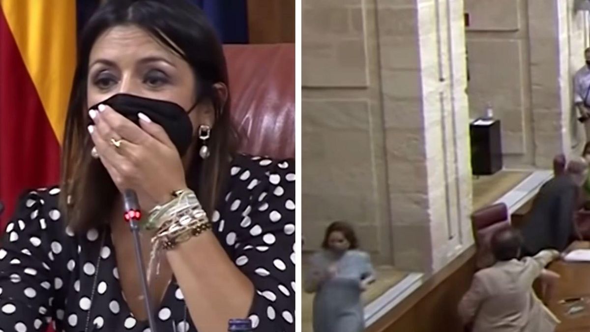 Крыса сорвала заседание парламента в Испании: видео