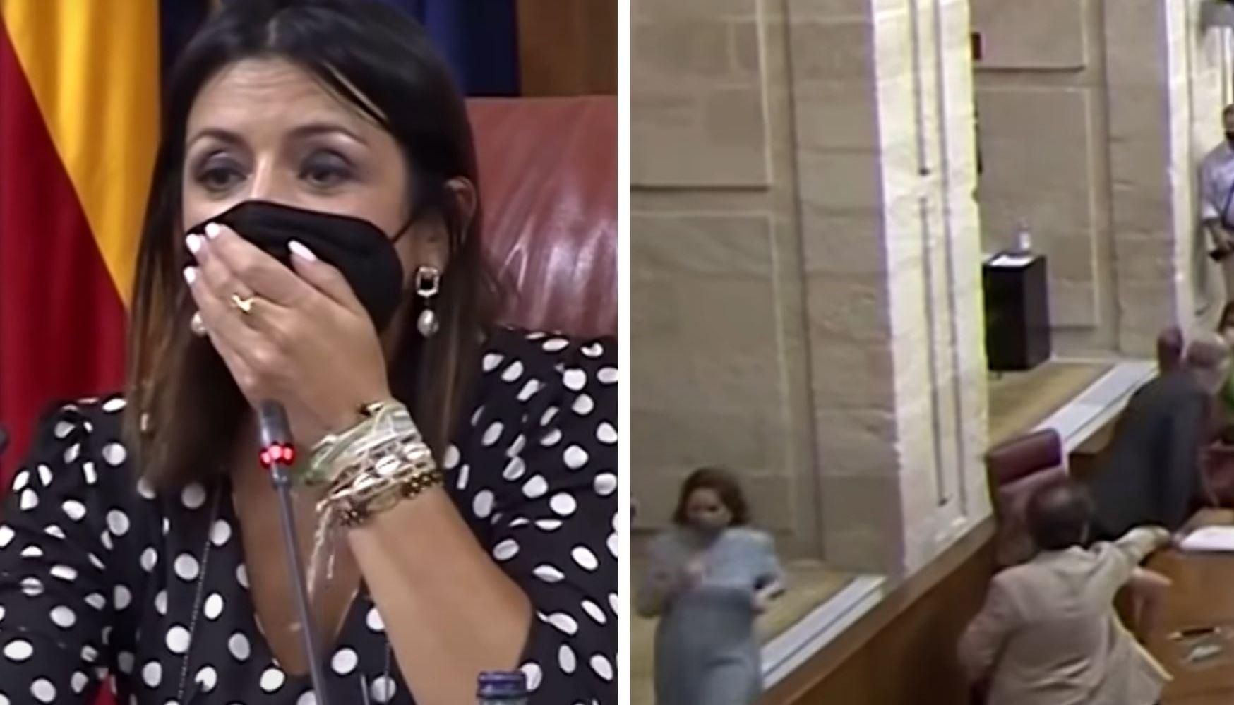 Крыса сорвала заседание парламента в Испании: видео Крыса сорвала заседание парламента в Испании: видео