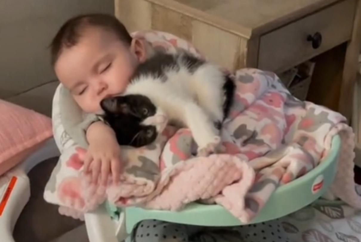 Кошеня Суші і немовля Ксайомара стали найкращими друзями: відео