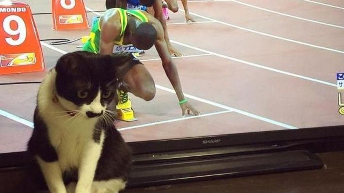 Уникальный ракурс: 9 кадров с животными, сделанных в нужный момент Уникальный ракурс: 9 кадров с животными, сделанных в нужный момент