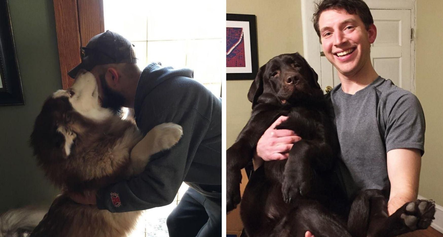 Доводять свою любов: щирі фото собак та їх власників Доводять свою любов: щирі фото собак та їх власників