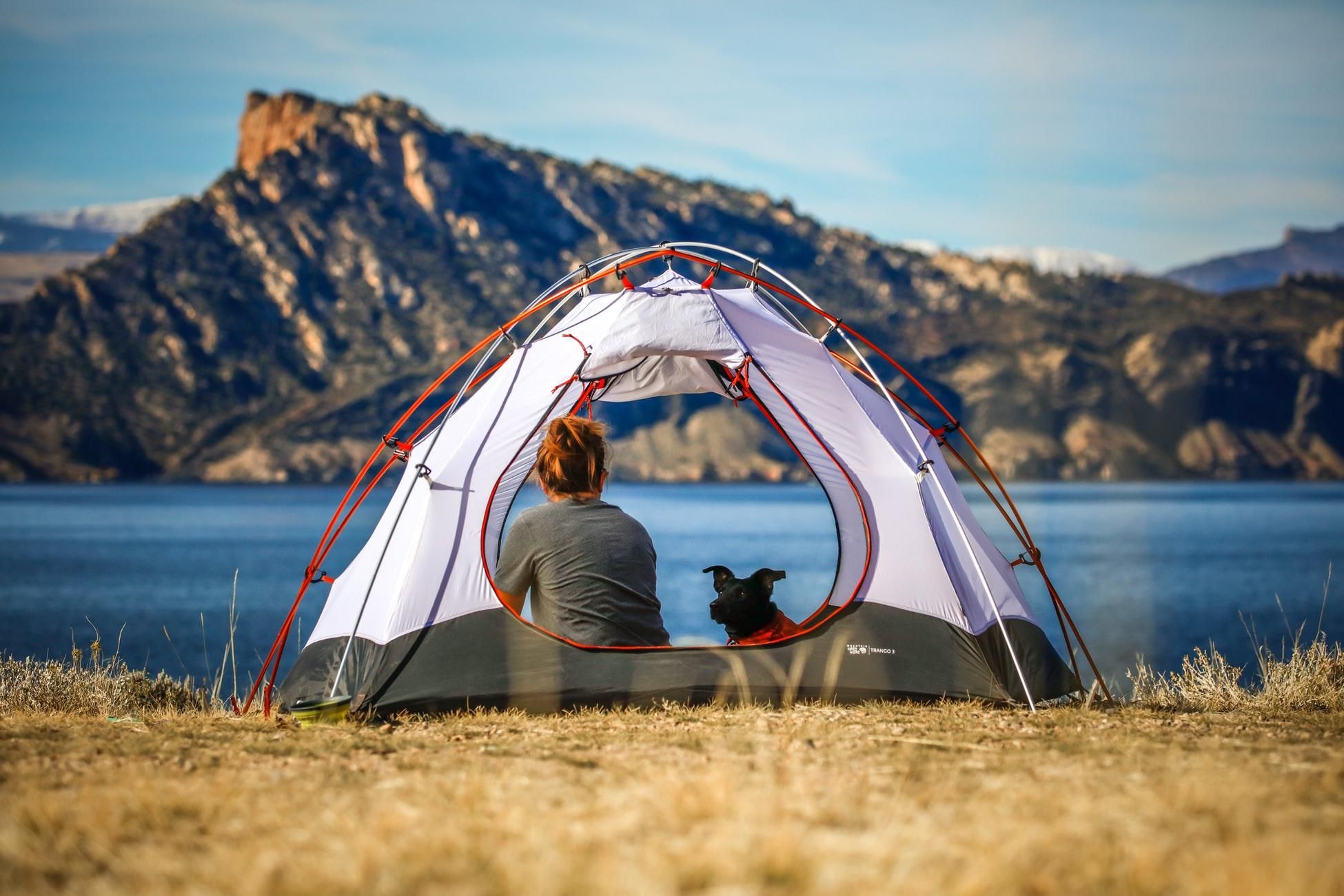 Как правильно отдыхать с собакой в ​​палатке