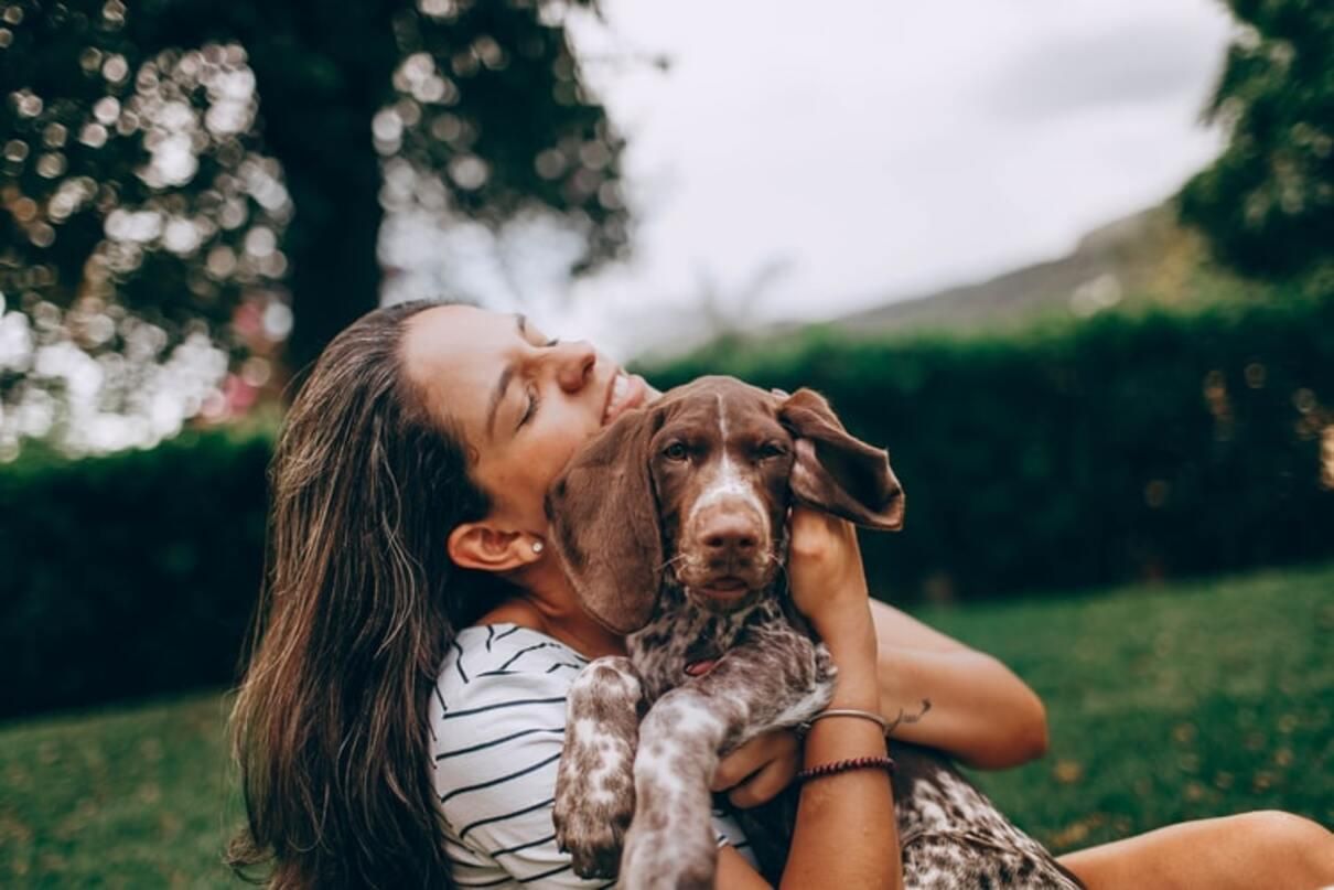 Собаки можуть визначати, коли люди їм брешуть - Pets Собаки можуть визначати, коли люди їм брешуть - Pets
