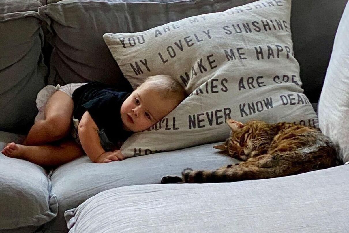 Кіт-старожил дому Манго і немовля Гайден: приклад взаємної любові Кіт-старожил дому Манго і немовля Гайден: приклад взаємної любові