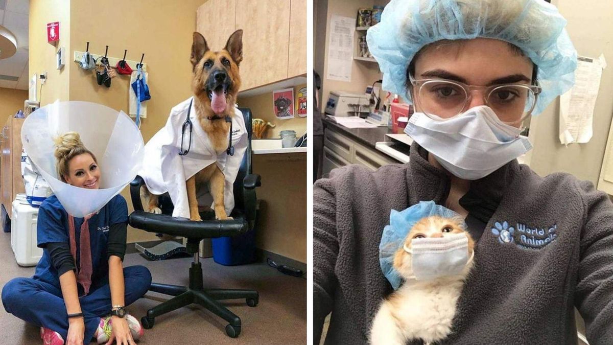 День ветеринара в Украине: забавные фото врачей и пациентов