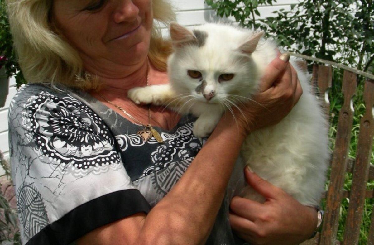 Чудо-котик из Карпат ловит ядовитых змей: фото Чудо-котик из Карпат ловит ядовитых змей: фото