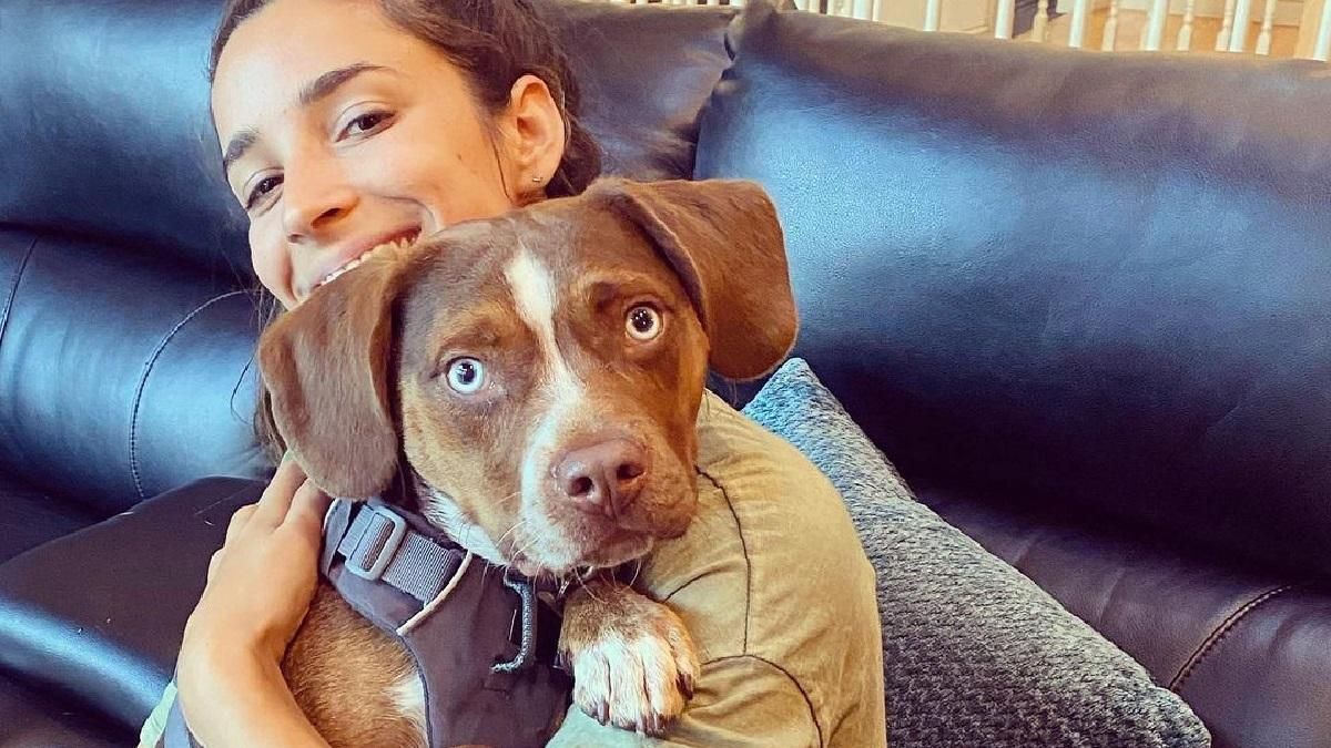 Гімнастка Елі Рейсман знайшла свого зниклого собаку - Pets