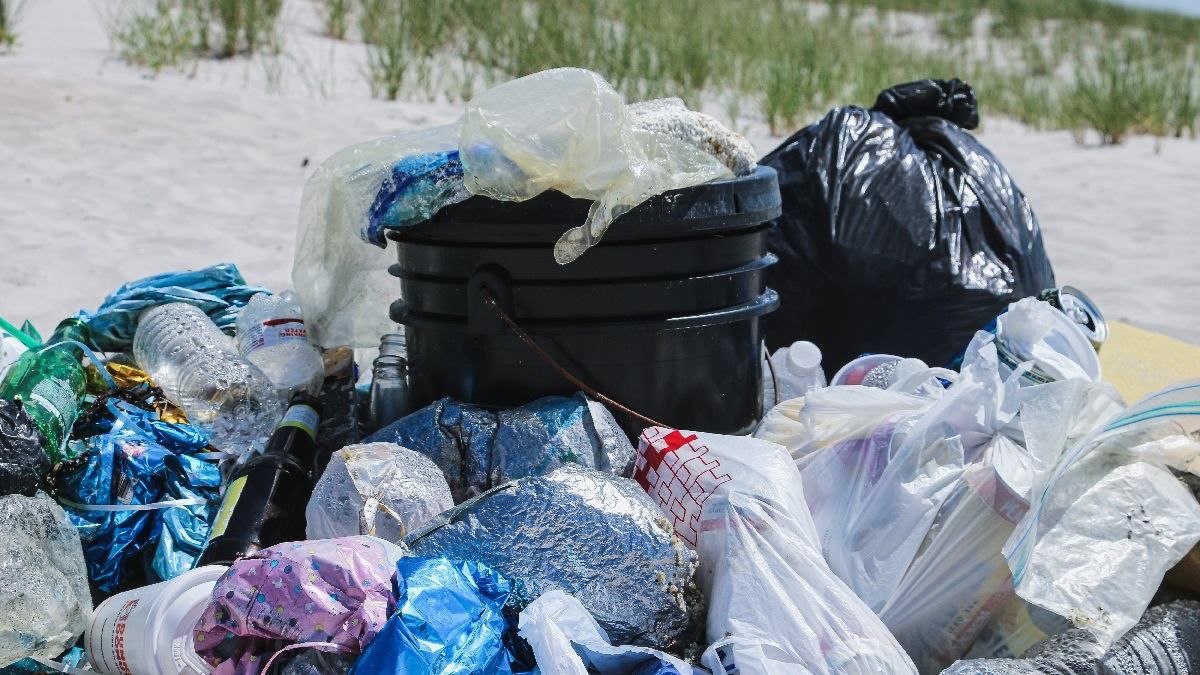 Будьте осторожны: почему мусор опасный для животных - Pets Будьте осторожны: почему мусор опасный для животных - Pets