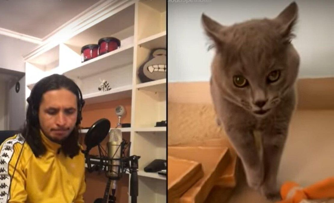 Alugalug Cat от The Kiffness музыкант перевыпустил популярный трек