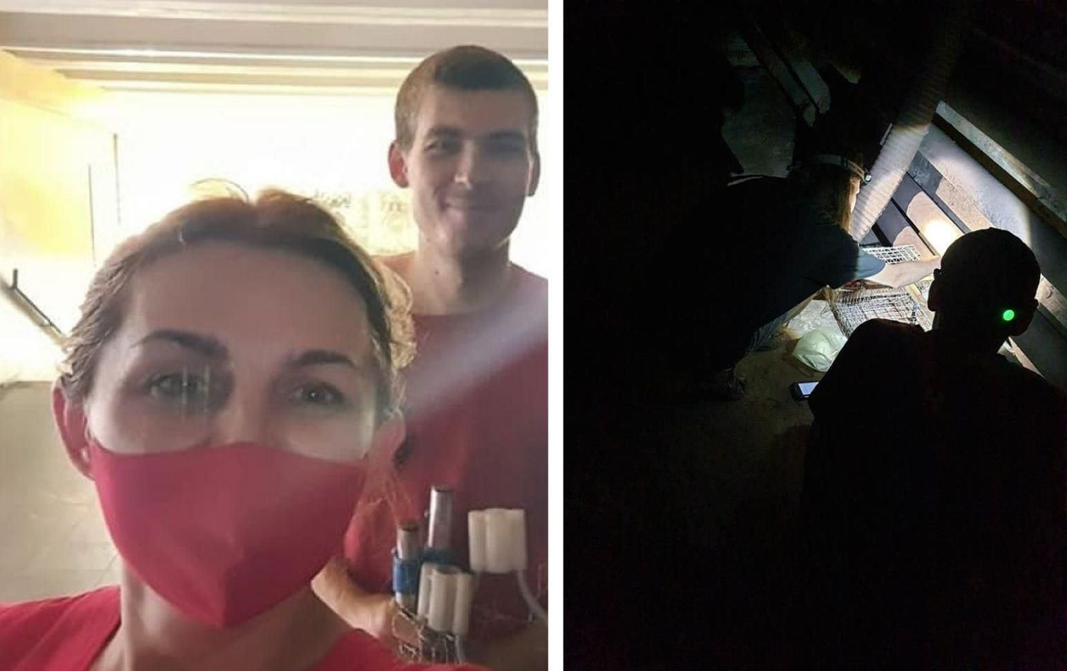 У київському метро втік кіт: як це сталося і хто його ловить