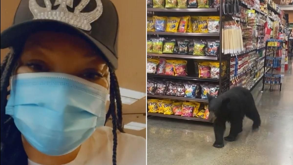 Американская актриса встретила медведя в супермаркете – потрясающее видео - Pets