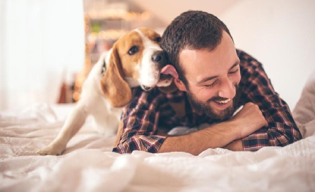 Как понять, что собака вас любит - Pets Как понять, что собака вас любит - Pets