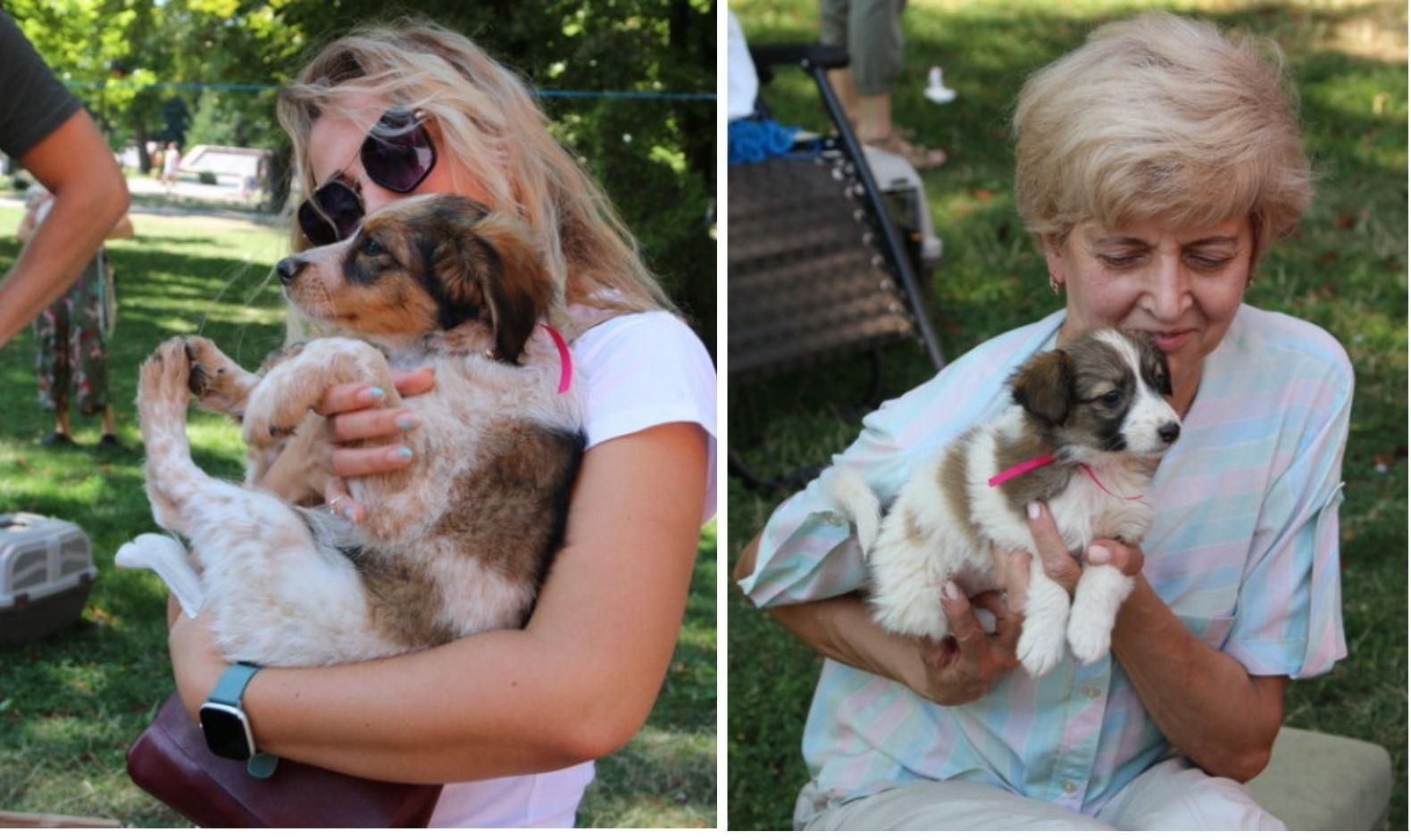 У центрі Вінниці роздавали тварин: як пройшов традиційний "Хвіст-фест" – яскраві фото - Новини Вінниці - Pets