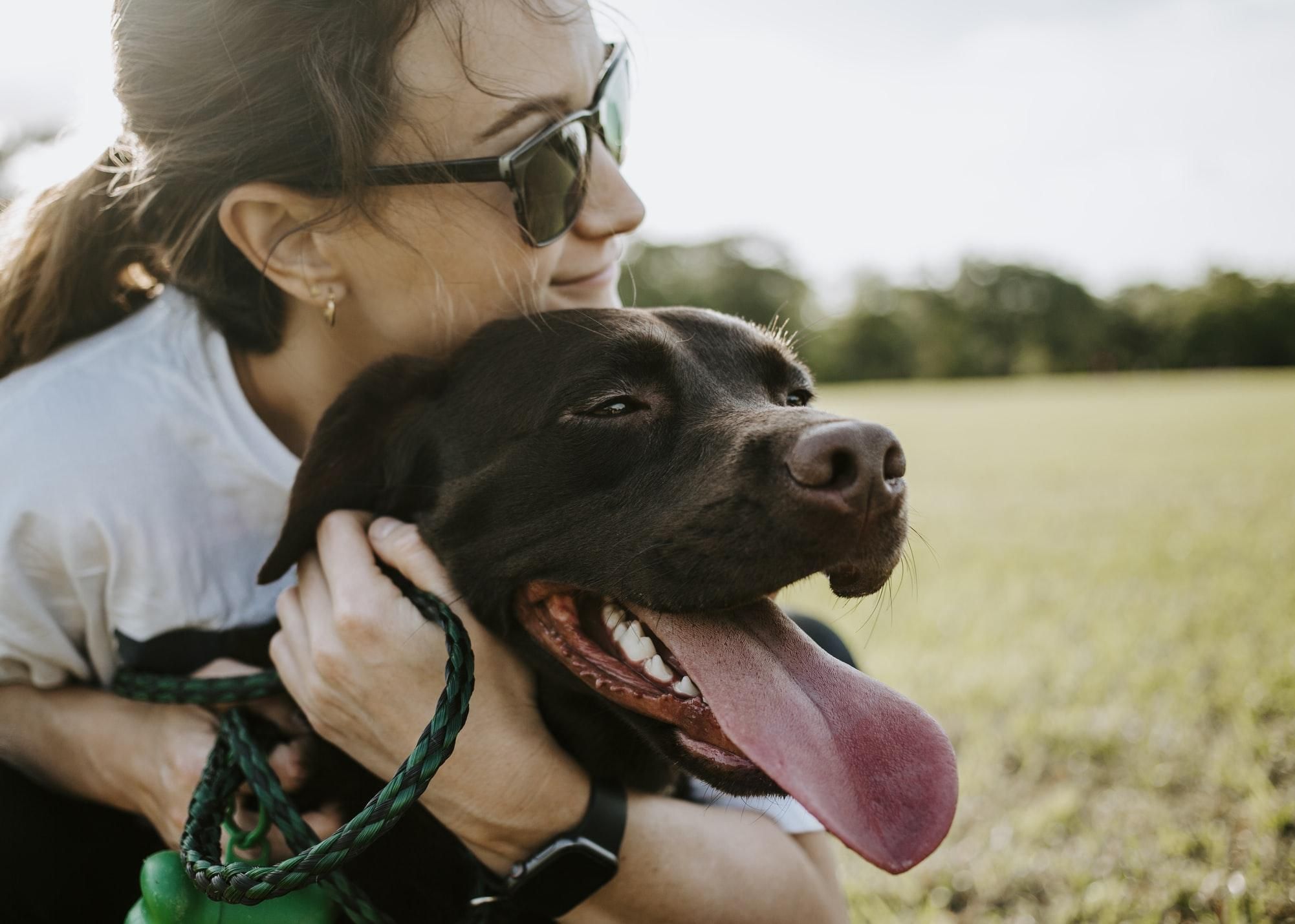 Можно ли обнимать собак: что говорят ученые