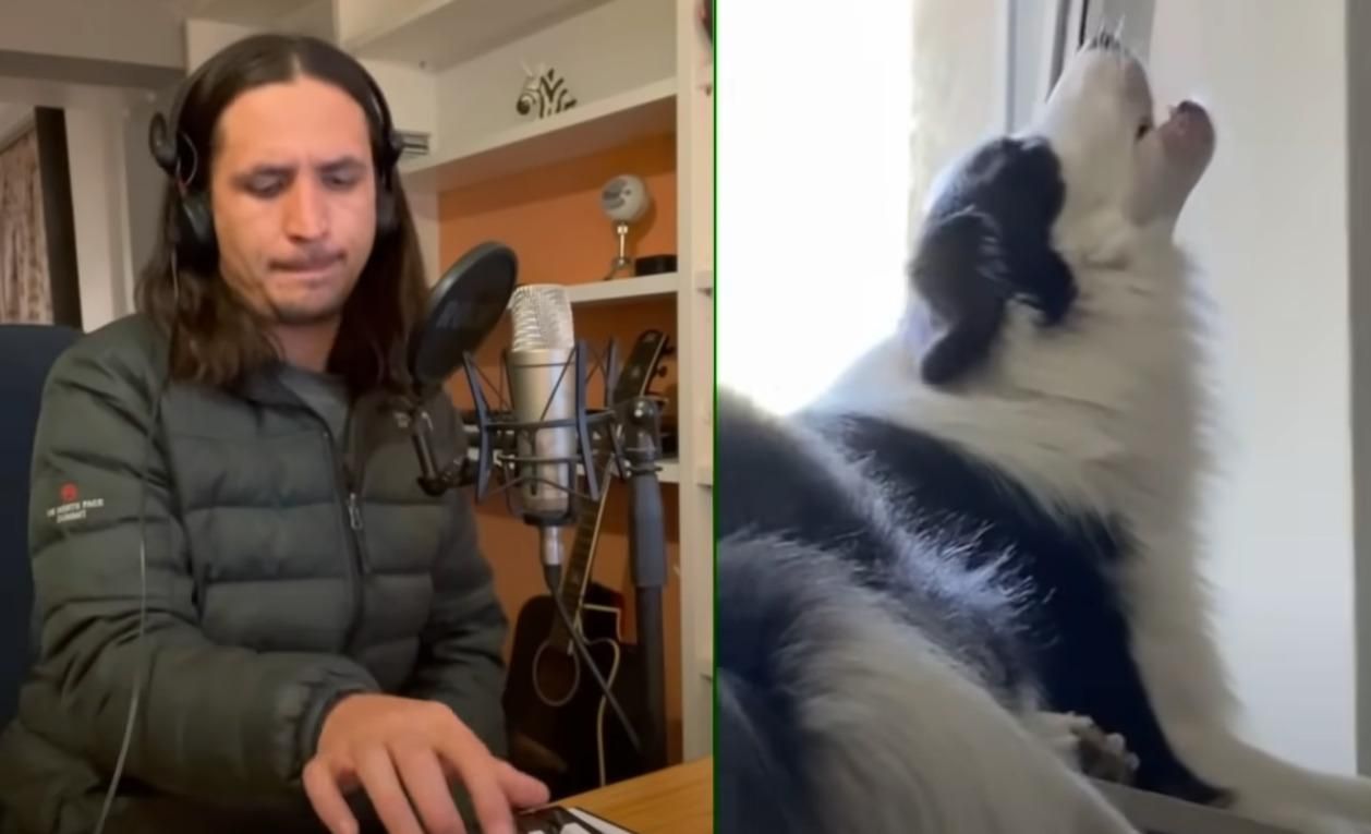 Музикант The Kiffness випустив перший трек із собакою: це точно хіт - Pets Музикант The Kiffness випустив перший трек із собакою: це точно хіт - Pets