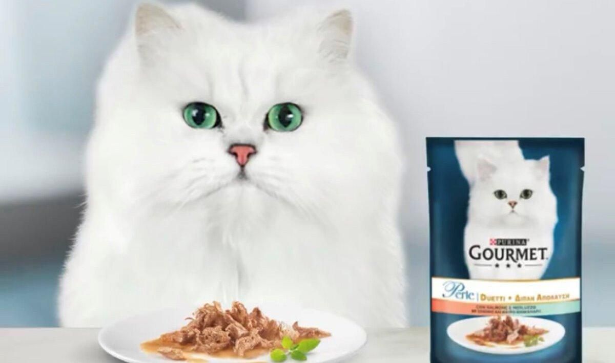 Справжні коти-гурмани цінують подвійні смаки у рецептах від GOURMET™ PERLE DUO - Pets Справжні коти-гурмани цінують подвійні смаки у рецептах від GOURMET™ PERLE DUO - Pets