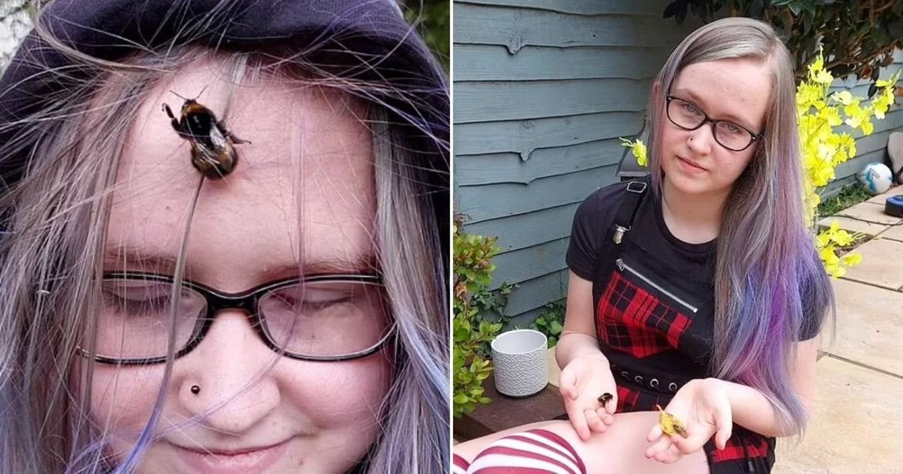 Навіть ходять разом у магазин: дівчинка врятувала джмеля і потоваришувала з ним - Pets Навіть ходять разом у магазин: дівчинка врятувала джмеля і потоваришувала з ним - Pets