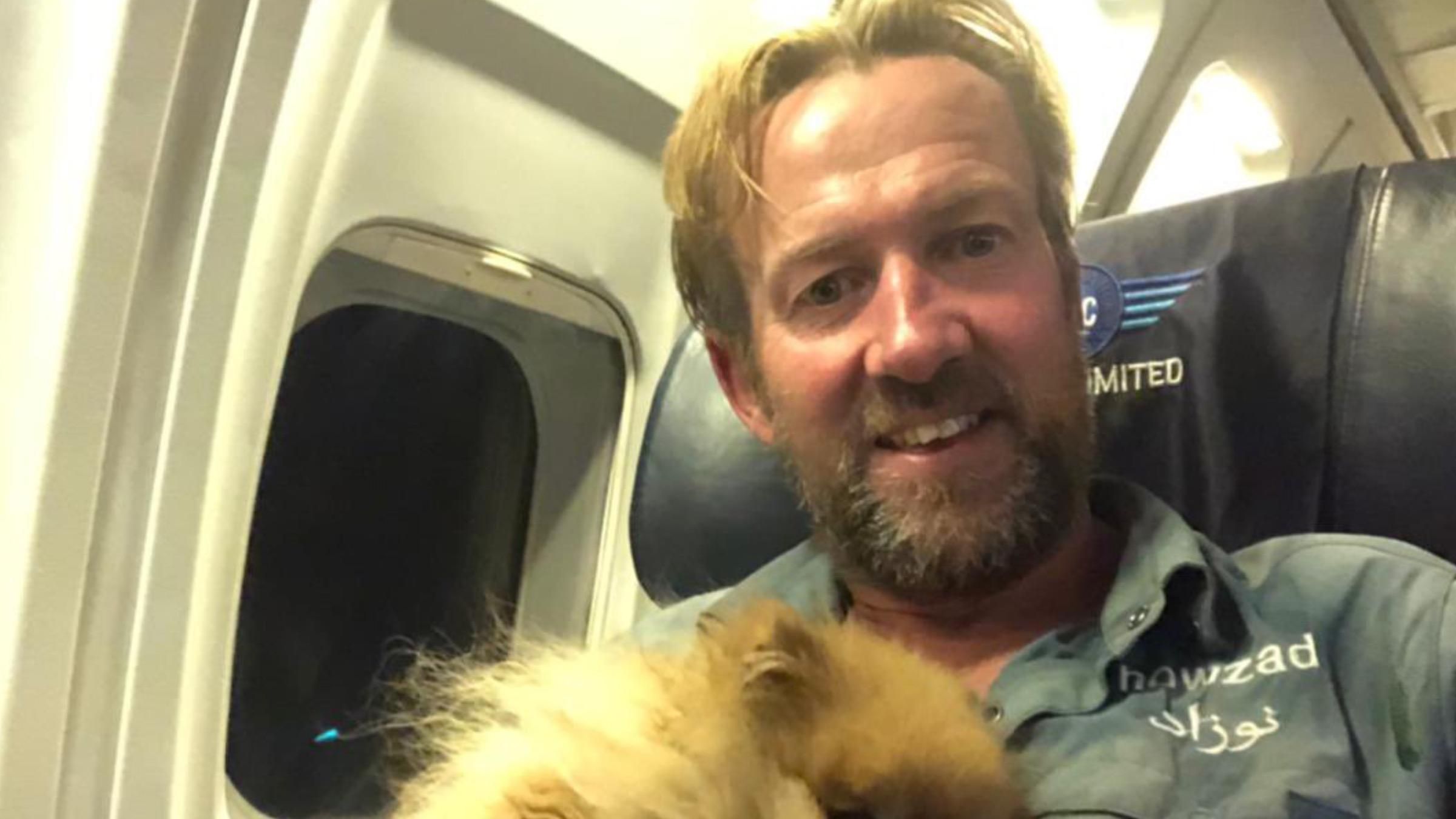 Британца и его 200 собак и кошек эвакуировали из Афганистана: что известно о приюте - Pets Британца и его 200 собак и кошек эвакуировали из Афганистана: что известно о приюте - Pets