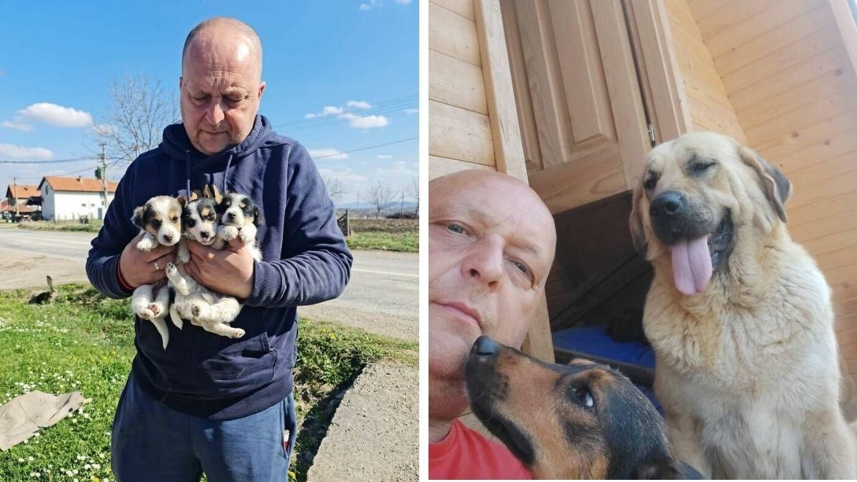 Здійснив мрію матері: чоловік із Сербії врятував понад 1000  собак та вовків - Pets