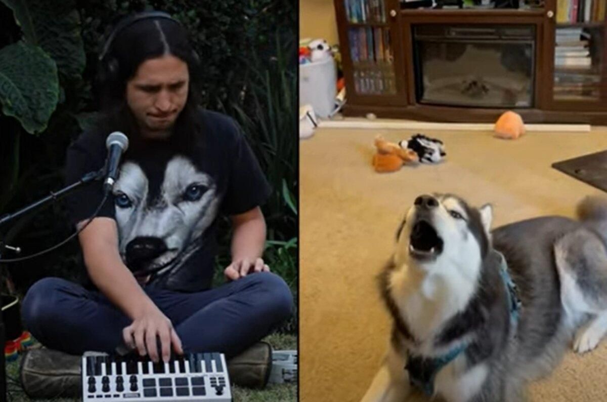 Хаски и The Kiffness спели вместе: очередной хит от популярного музыканта - Pets Хаски и The Kiffness спели вместе: очередной хит от популярного музыканта - Pets