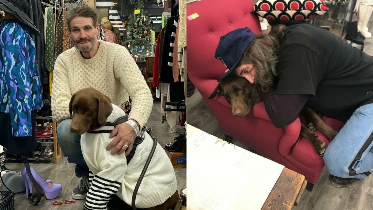 Бездомний чоловік загубив свого лабрадора: чим закінчилася зворушлива історія - Pets