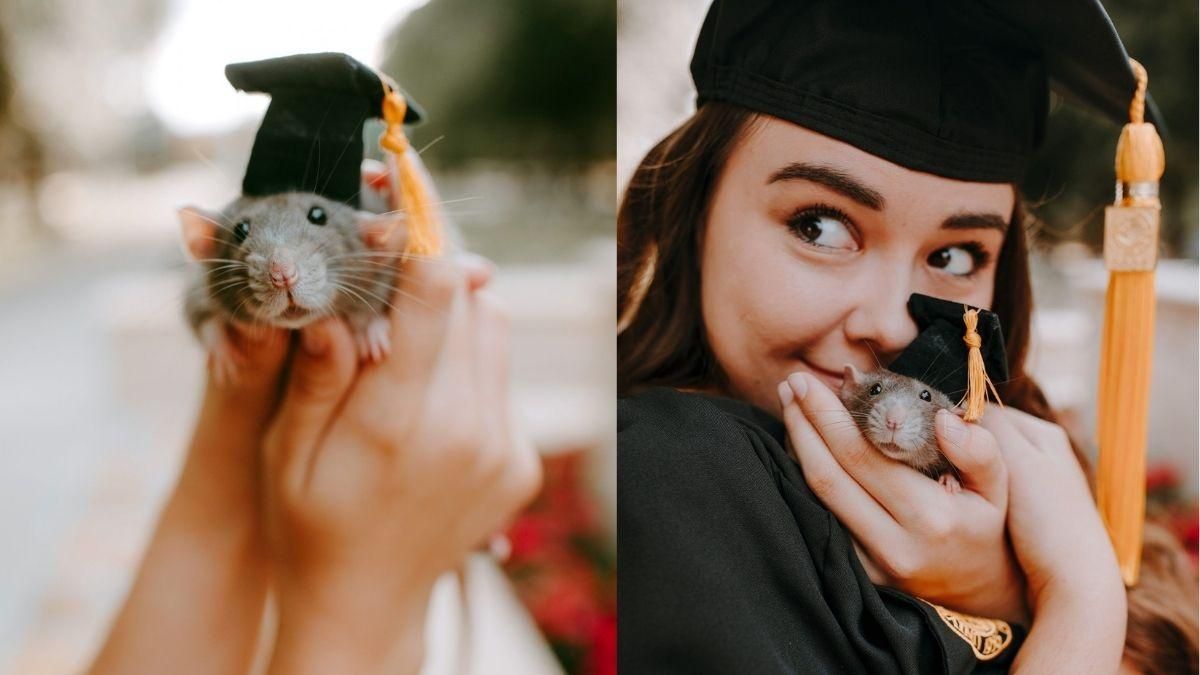 На випускний зі щуром: навіщо дівчина принесла на свято хвостатого  улюбленця - Pets