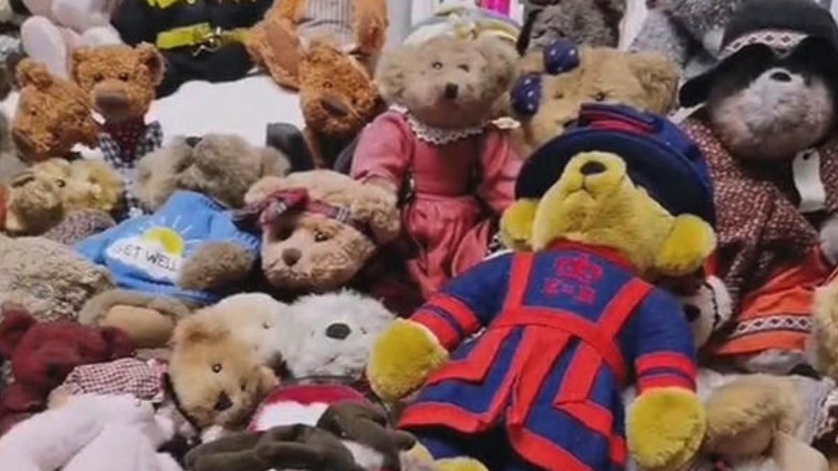 Тест на уважність: жінка не могла знайти собаку серед іграшкових ведмедиків - Pets Тест на уважність: жінка не могла знайти собаку серед іграшкових ведмедиків - Pets