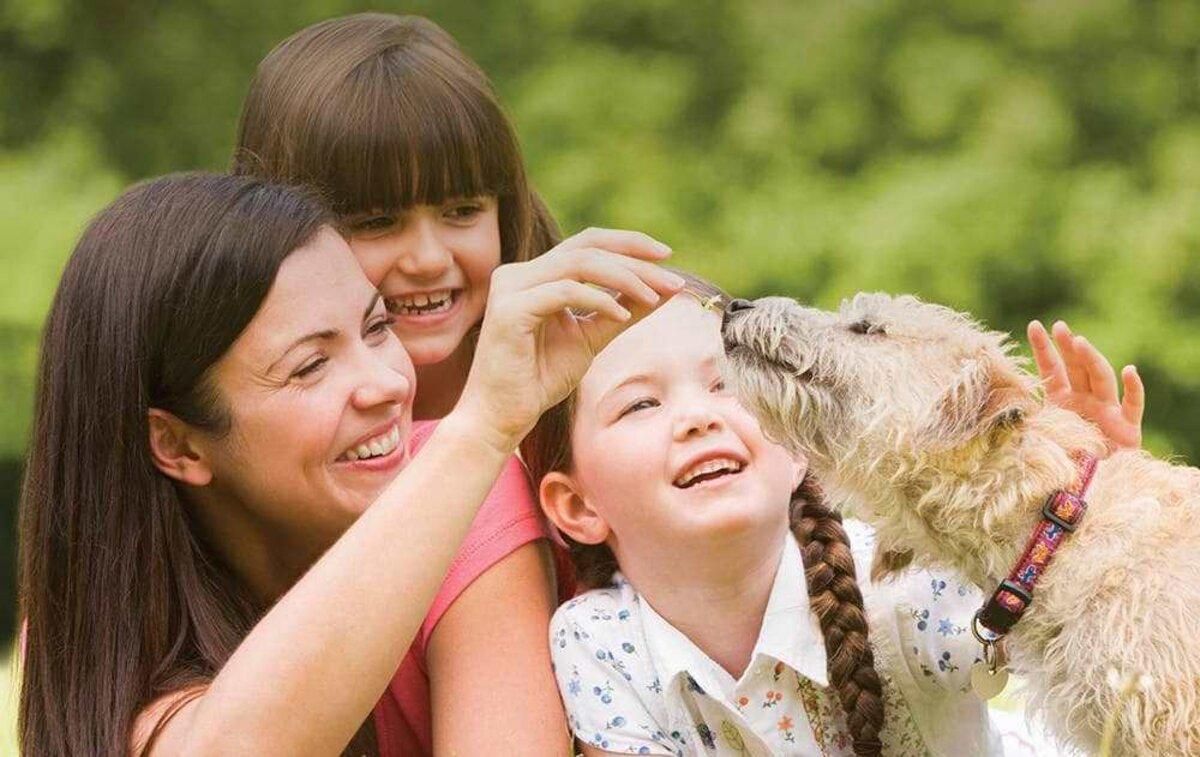 Гра для дітей від Purina® та Happy Paw: як стати учасником розіграшу - Pets Гра для дітей від Purina® та Happy Paw: як стати учасником розіграшу - Pets