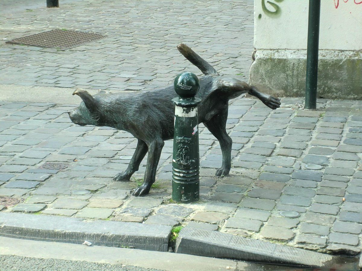 Собака із задертою лапою: історія кумедного пам'ятника в Брюсселі - Pets