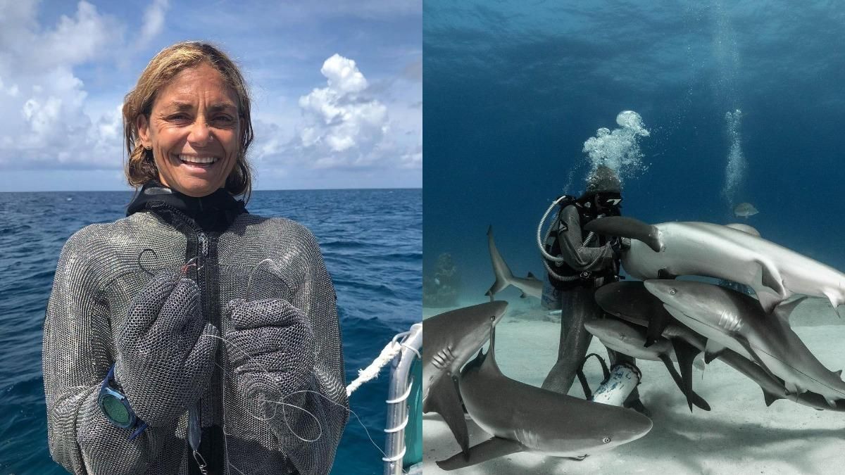 "Заклинателька акул": як дайверка витягує рибальські гачки з пащі хижаків - Pets "Заклинателька акул": як дайверка витягує рибальські гачки з пащі хижаків - Pets
