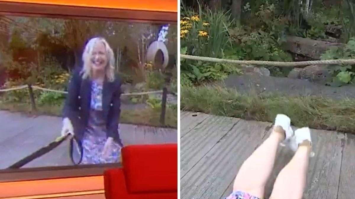 Пес збив ведучу з ніг в прямому ефірі: кумедне відео подивилися тисячі глядачів - Pets Пес збив ведучу з ніг в прямому ефірі: кумедне відео подивилися тисячі глядачів - Pets